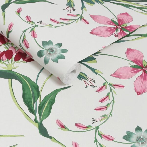 Botanists Scroll Pink