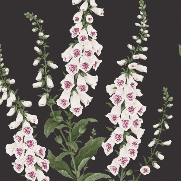 Foxglove Night - Image 3