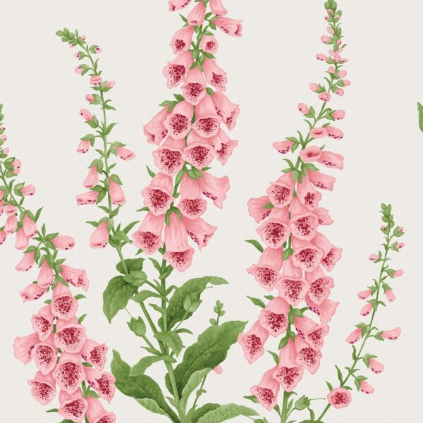 Foxglove Day - Image 3