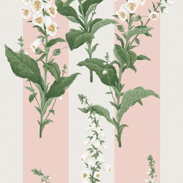 Foxglove Stripe Powder - Image 2